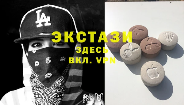 прущие грибы Медногорск