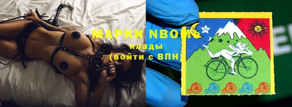 прущие грибы Медногорск