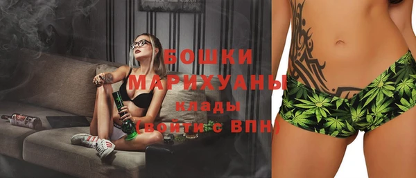 молекула духа Лиски