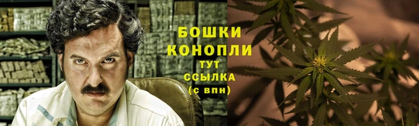 гашик Мегион