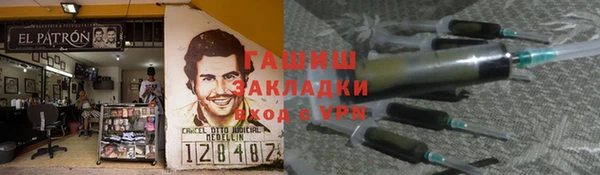 прущие грибы Медногорск