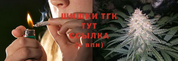 прущие грибы Медногорск