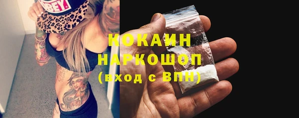 гашик Мегион