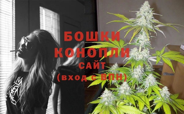 гашик Медвежьегорск