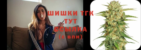 прущие грибы Медногорск
