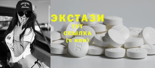 гашик Мегион