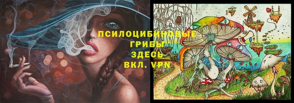 прущие грибы Медногорск