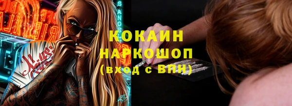 прущие грибы Медногорск